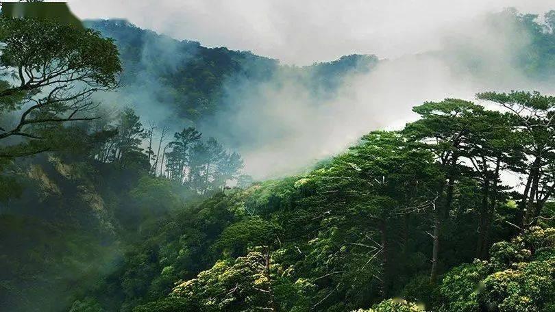 收集星星的高吉