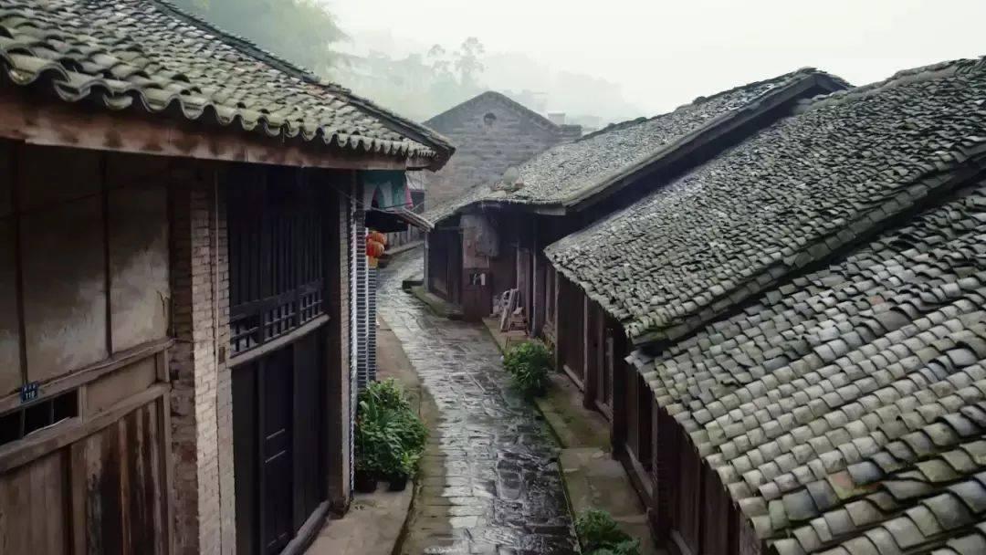救援金发公主