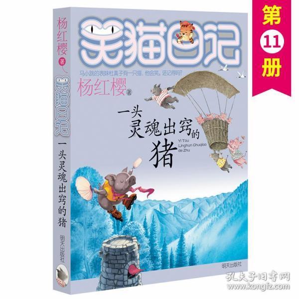 创作猫
